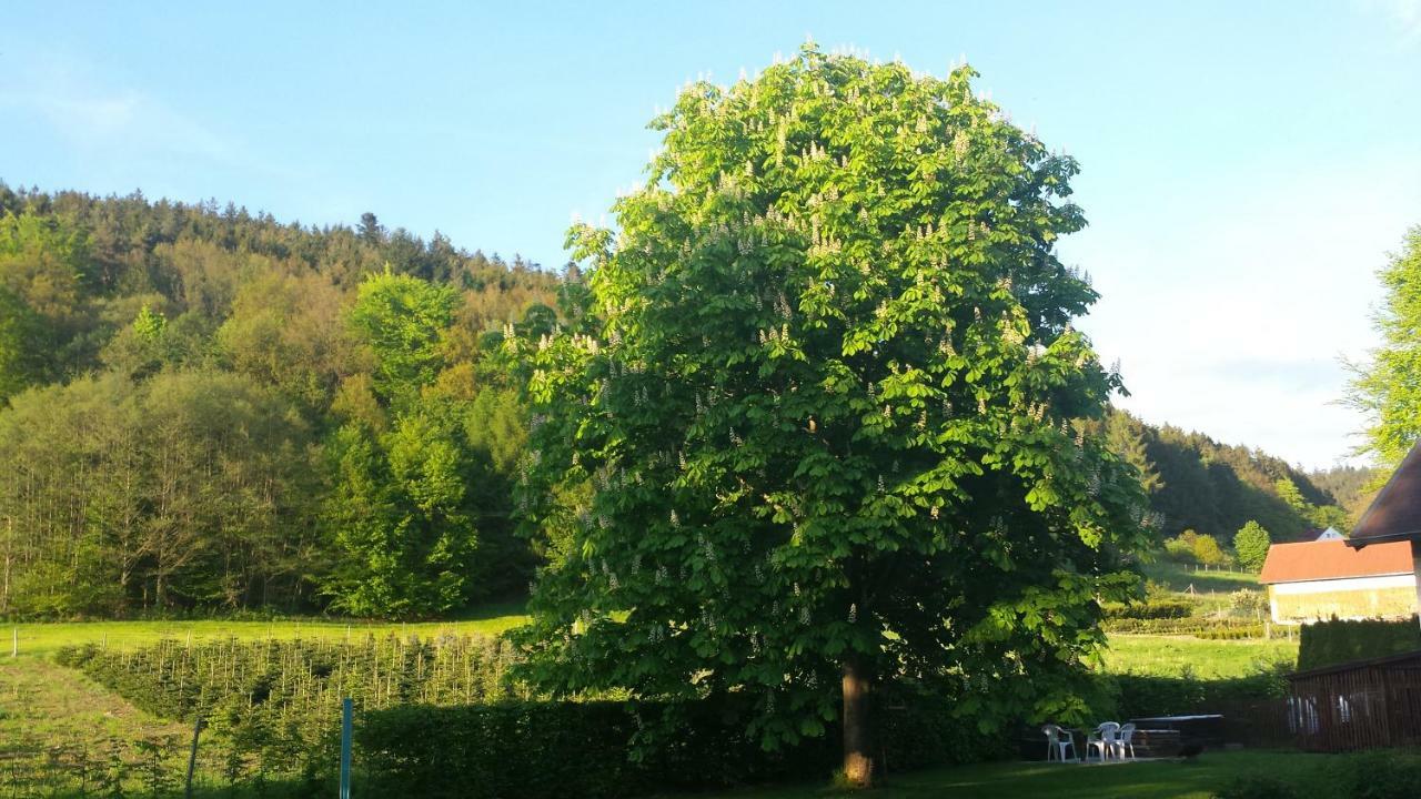 Haus Annemarie Apartment Goldkronach ภายนอก รูปภาพ