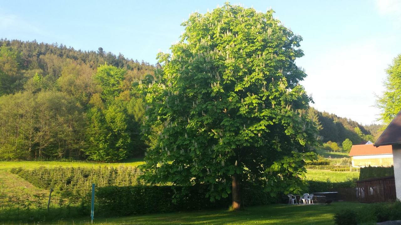 Haus Annemarie Apartment Goldkronach ภายนอก รูปภาพ