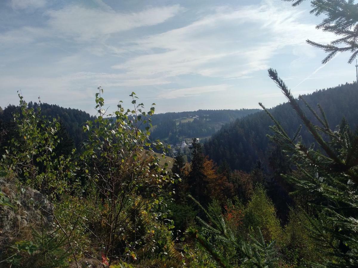 Haus Annemarie Apartment Goldkronach ภายนอก รูปภาพ
